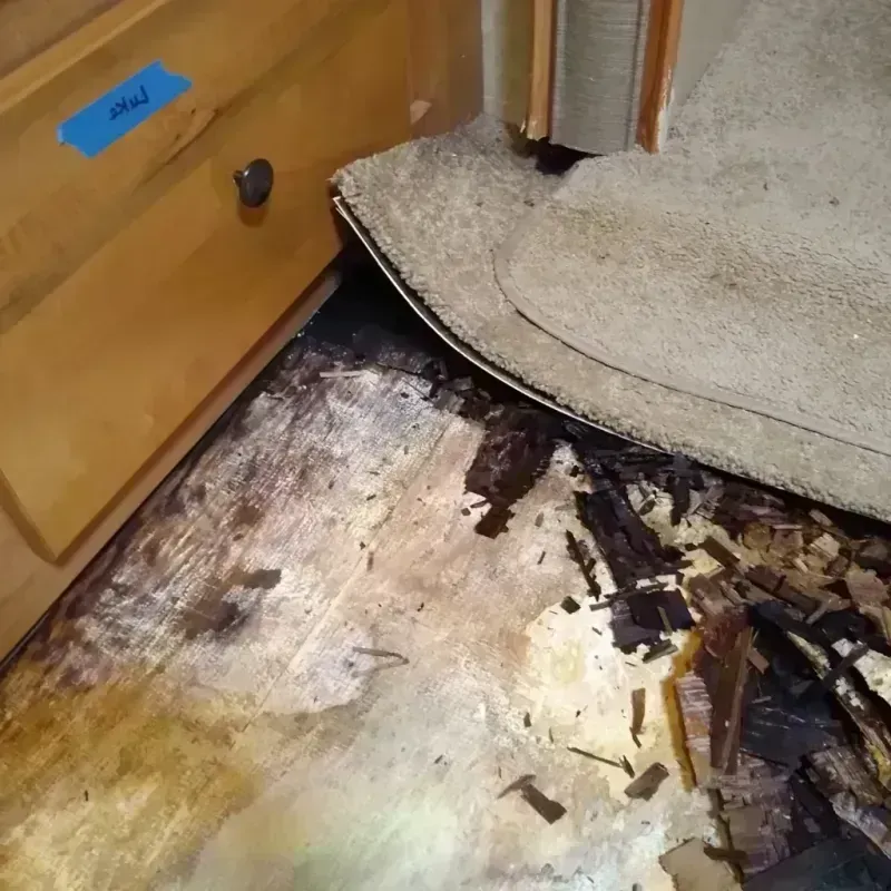 Wood Floor Water Damage in New Madrid County, MO